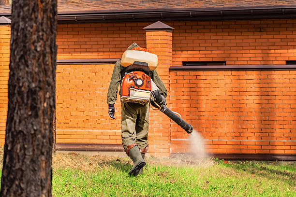 Trusted Termite Control service in Pine Mountain Club, CA - Nex Pest Control